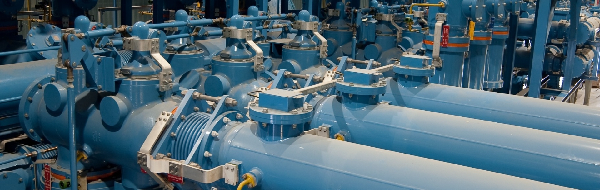 NG Person Substations Online Renewal