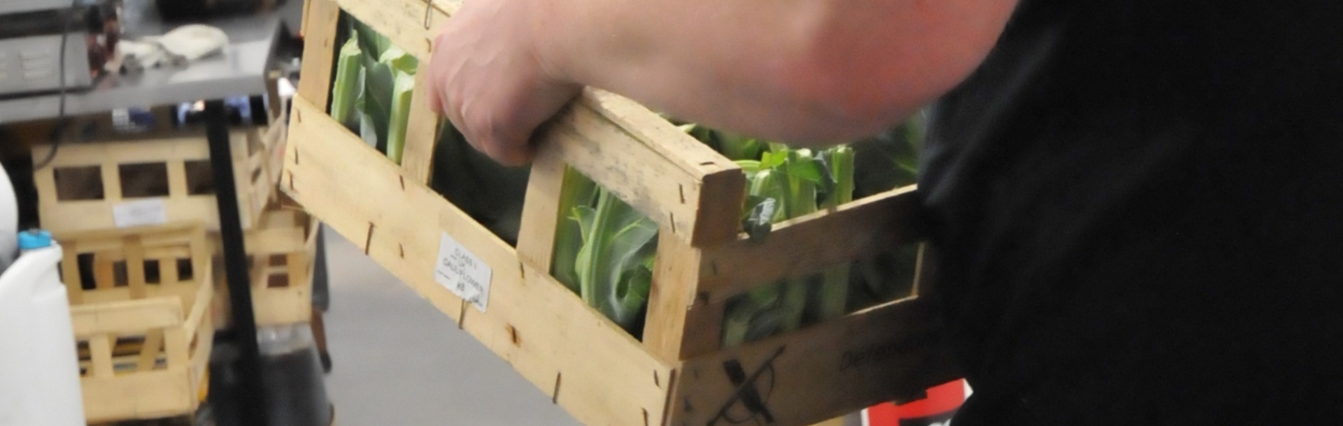 NUCO Level 2 Manual Handling Course (Principles and Practice)