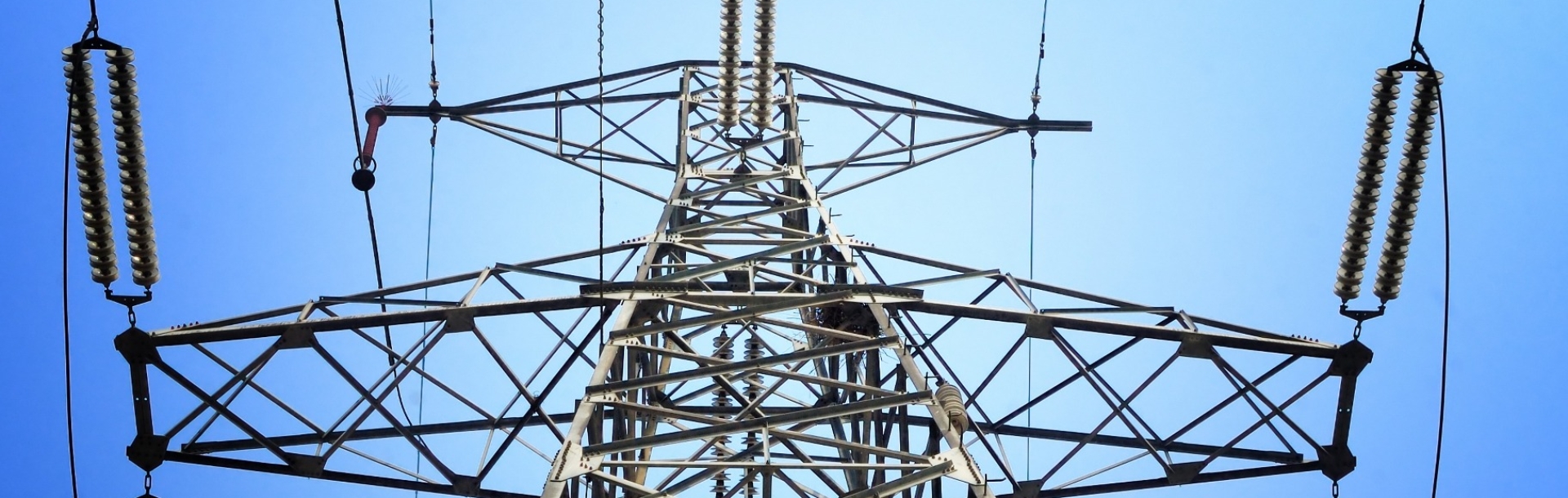 NG Person Overhead Lines Online Renewal